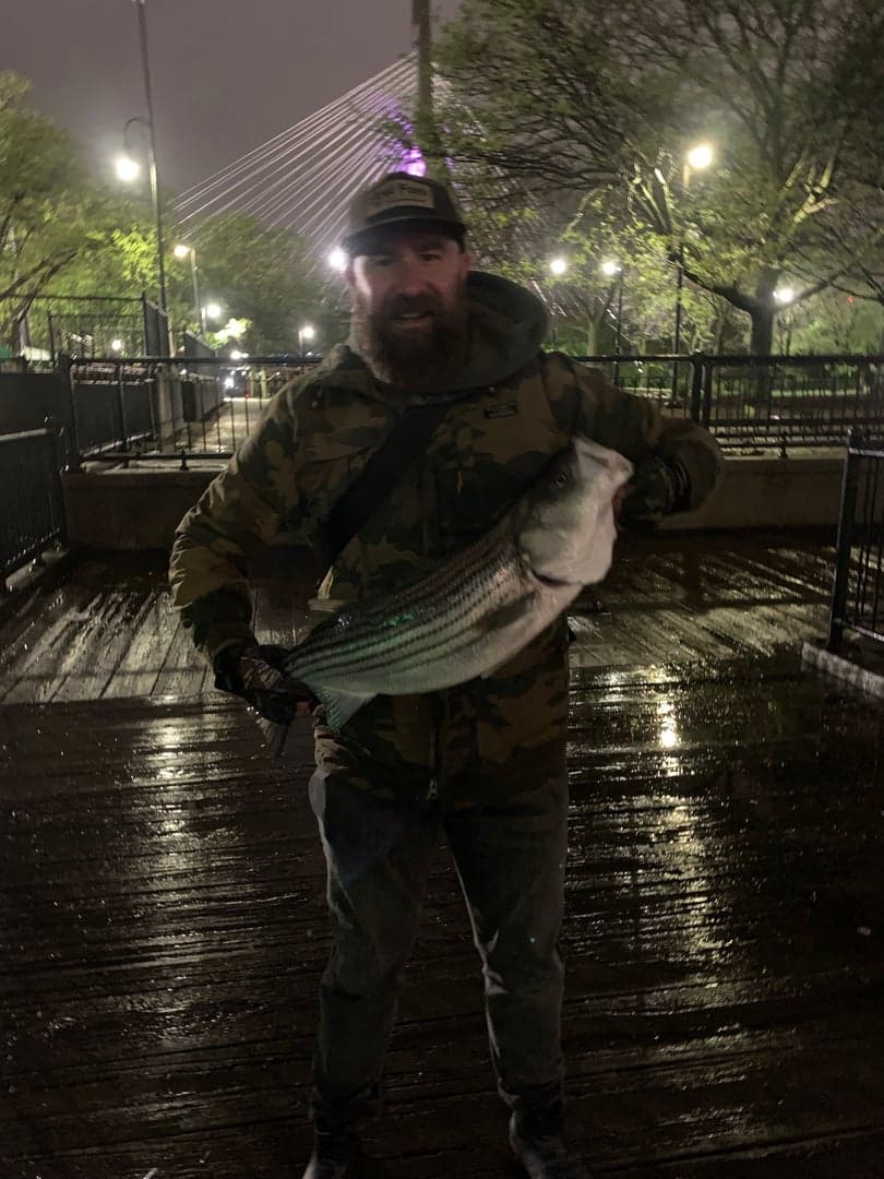 Striped Bass caught by Erich White, May 2025
