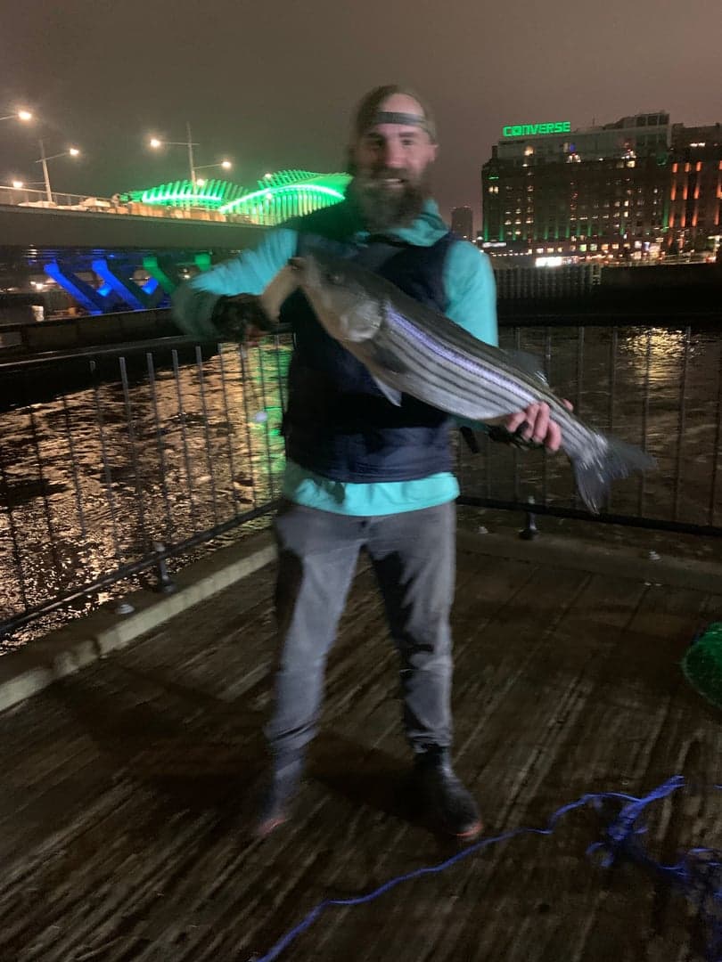 Striped Bass caught by Erich White, May 2025