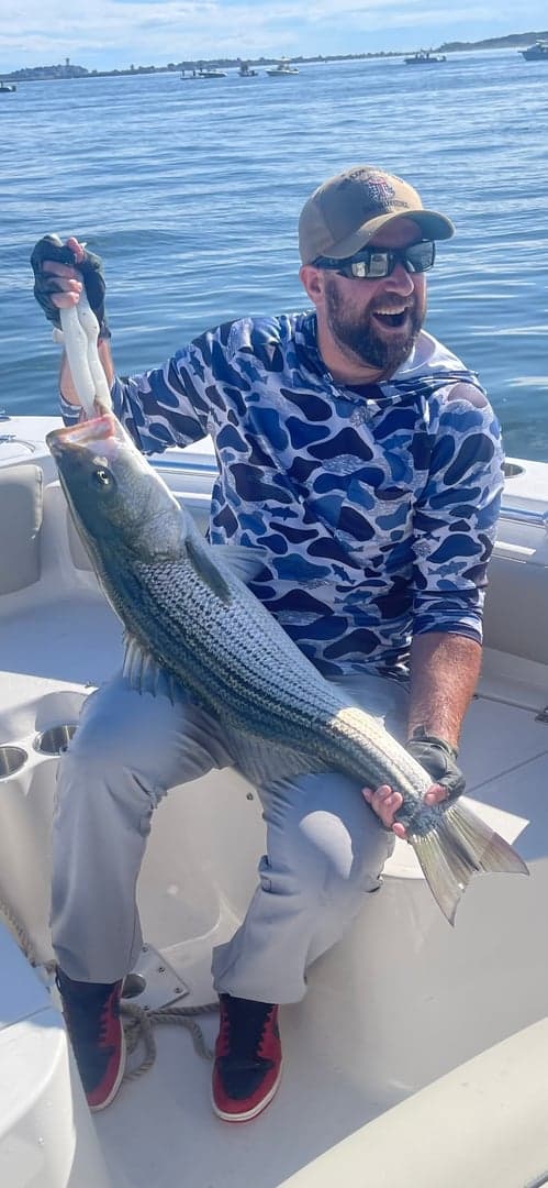 Striped Bass caught by Erich White, May 2025