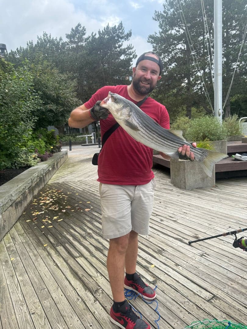 Striped Bass caught by Erich White, May 2025