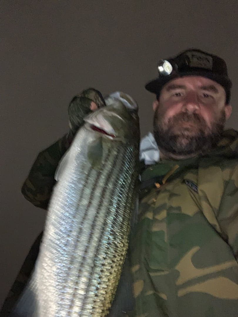 Striped Bass caught by Erich White, May 2025