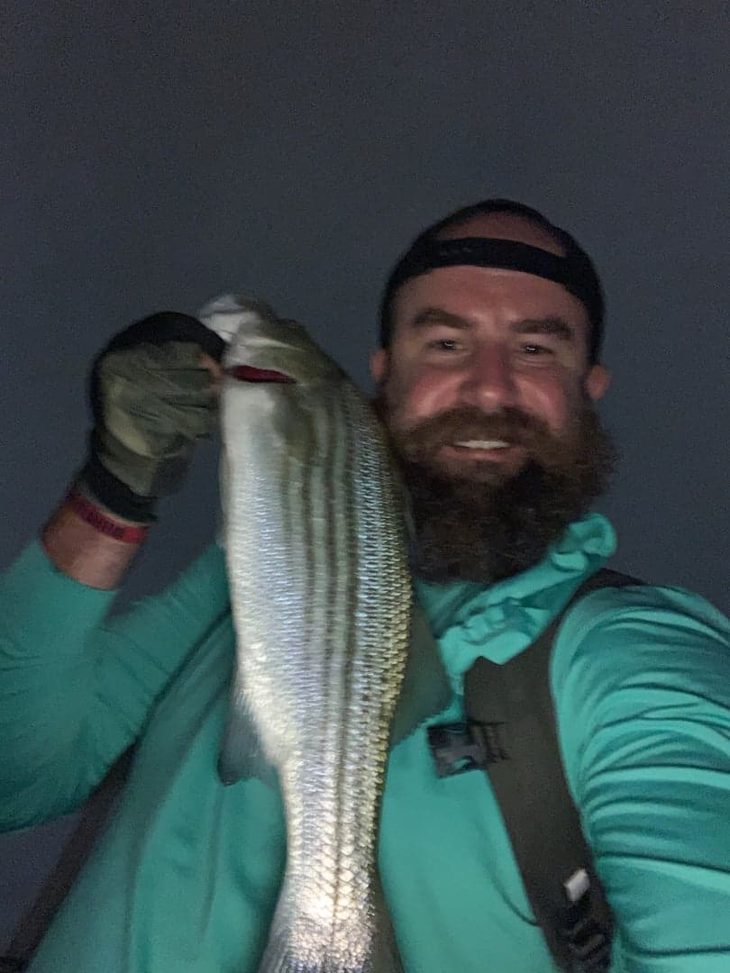 Striped Bass caught by Erich White, May 2025