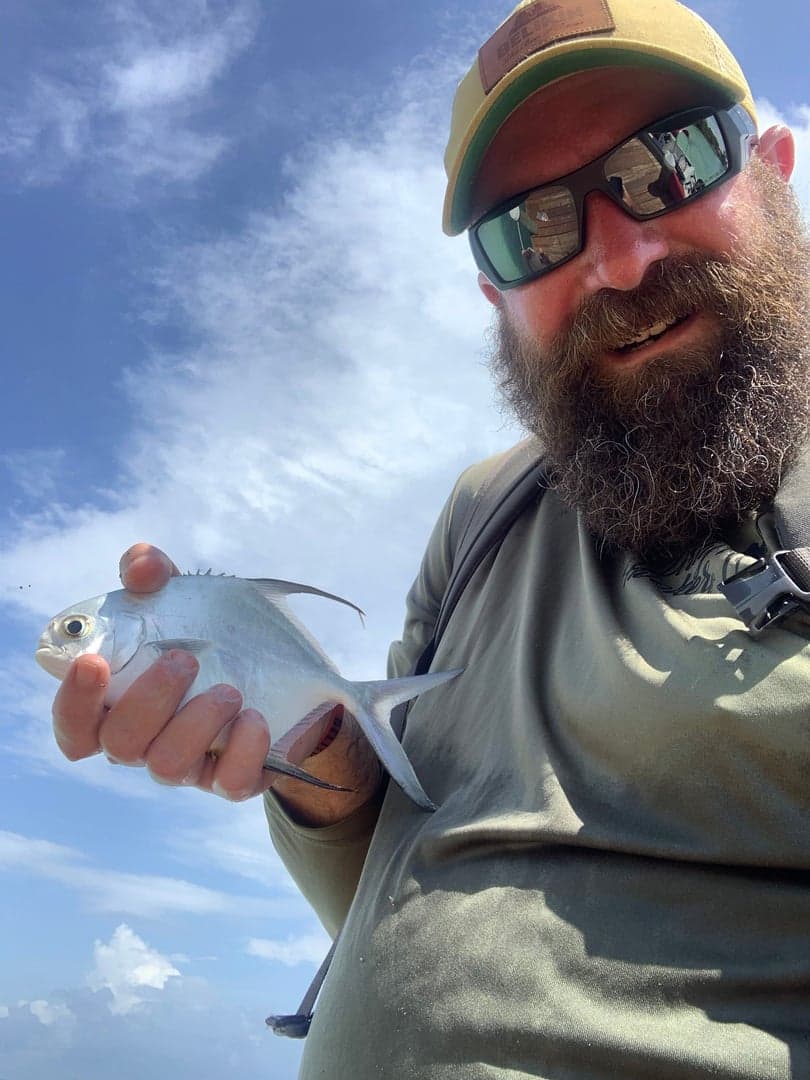 Permit caught by Erich White, June 2023