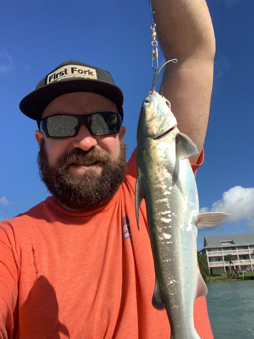 Saltwater Catfish caught by Erich White, June 2023