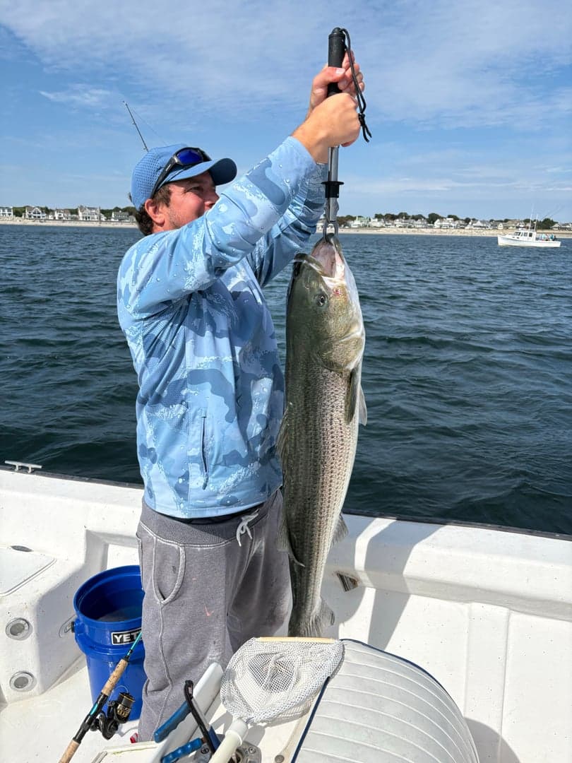 Striped Bass caught by nfederico5, August 2026
