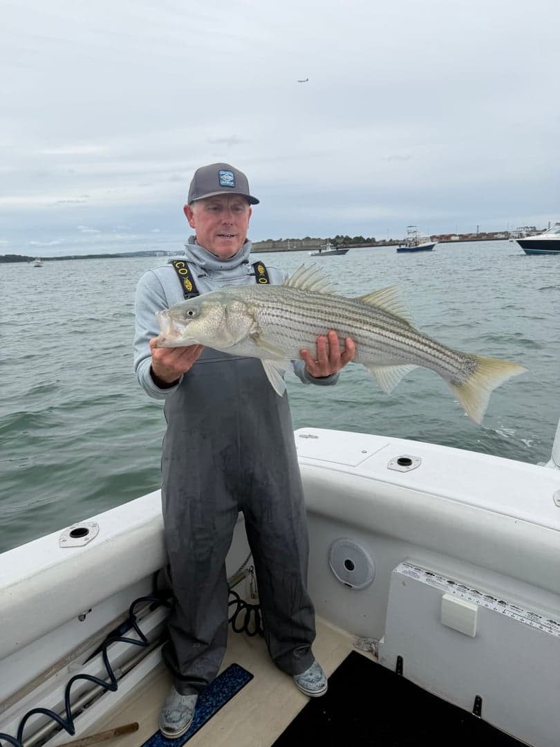Striped Bass caught by Johnny Walker, September 2026