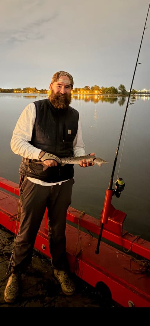 Adriatic Sturgeon caught by Chief, October 2026