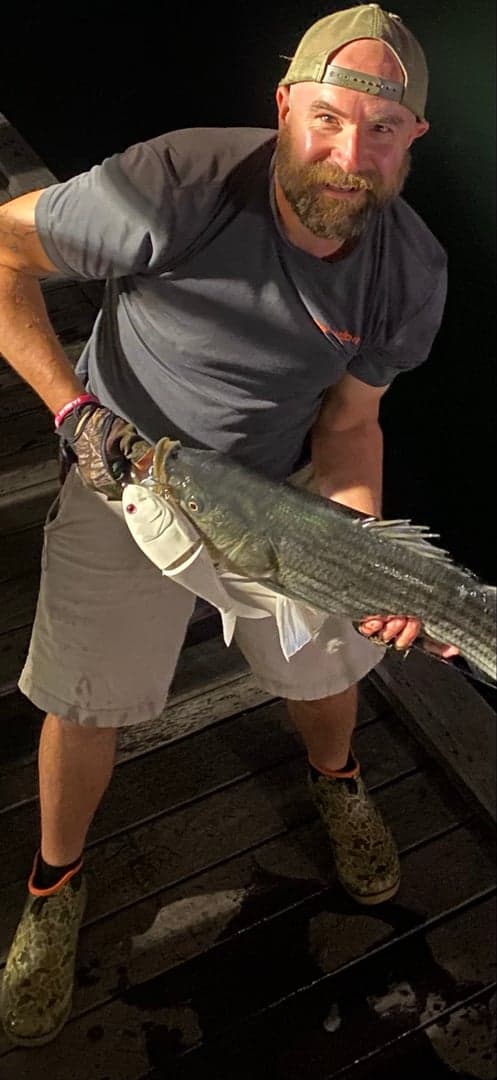 Striped Bass caught by Captain Erich, June 2026