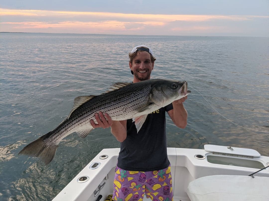 Striped Bass caught by Billy, June 2021