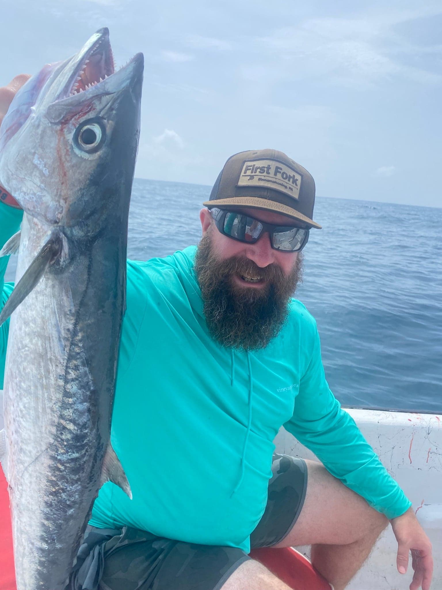 Barracuda