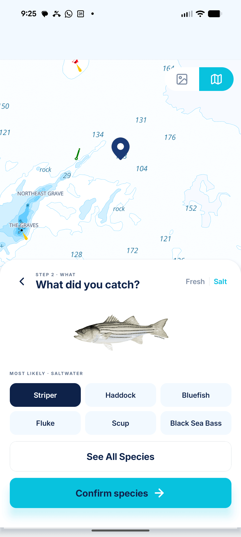 What did you catch? Striper suggested first, with Haddock, Bluefish, Fluke, Scup and Black Sea Bass as one-tap options