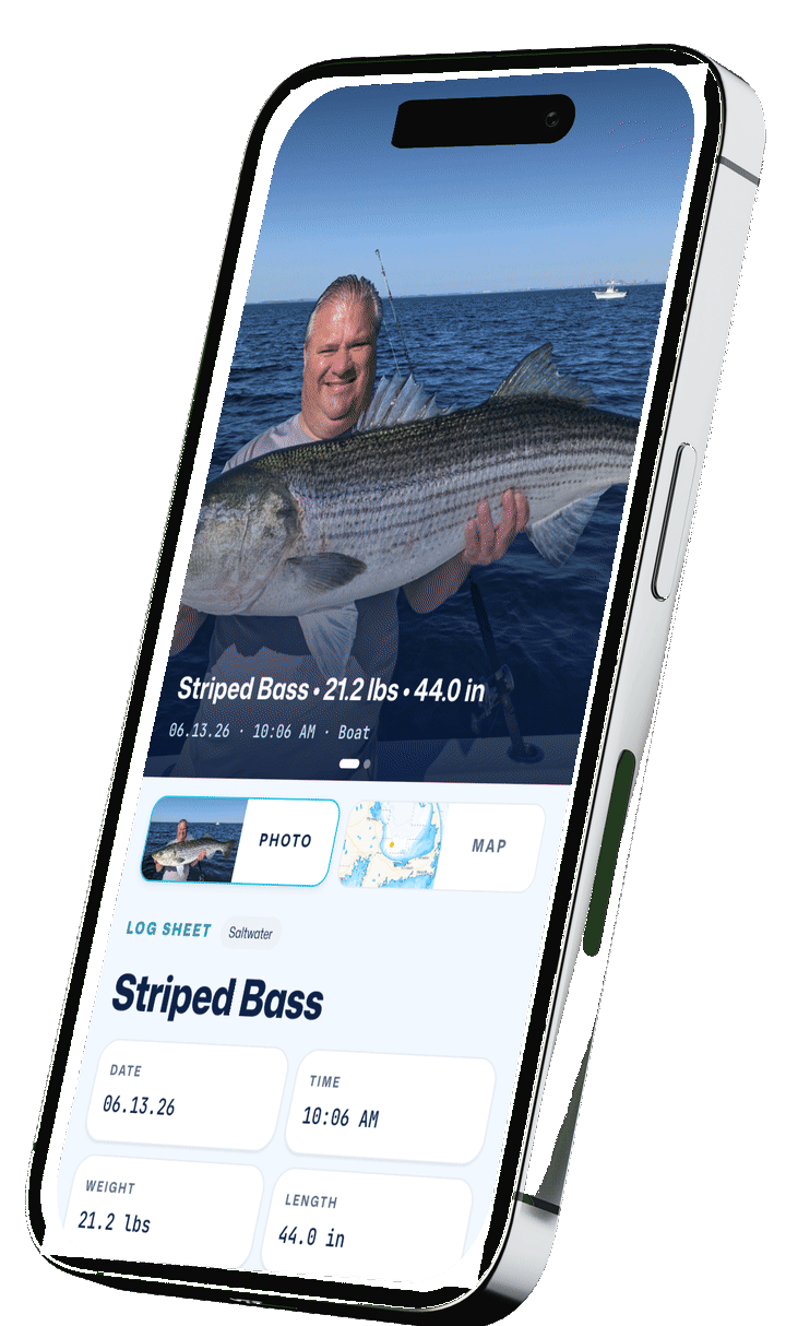 A Log Sheet on a phone: the catch photograph, then the bathymetry chart of where it was caught