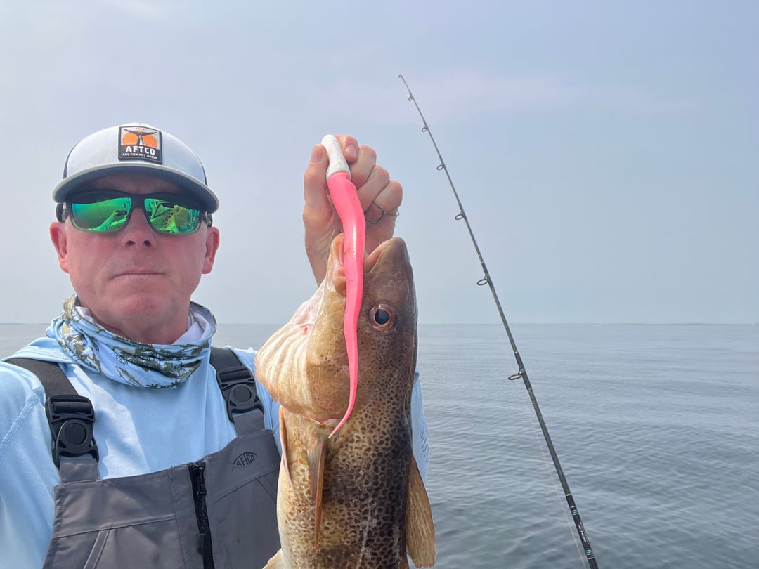 Cod caught by Johnny Walker
