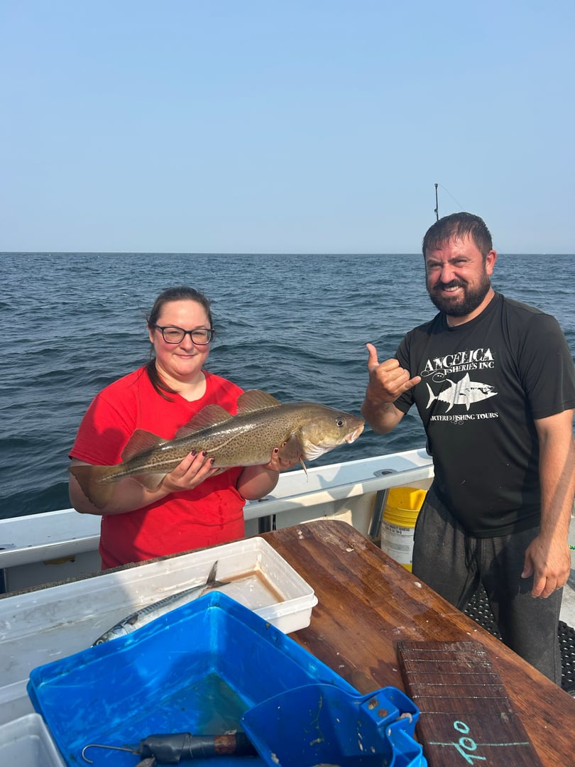 Cod caught by Dave Marciano