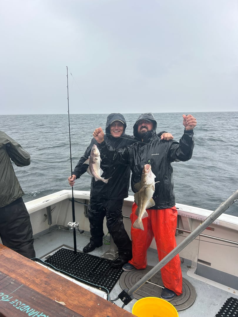 Cod caught by Dave Marciano