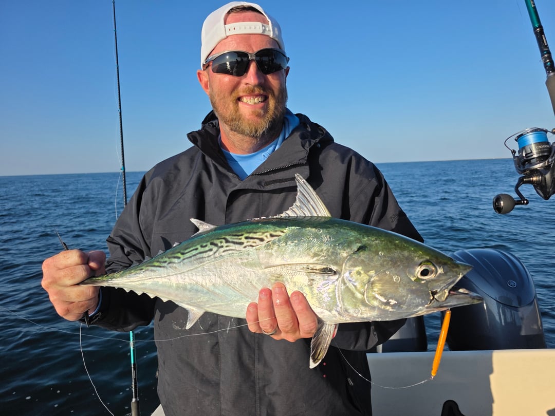 False Albacore caught by Get Tight Sport Fishing Captain Brian Coombs
