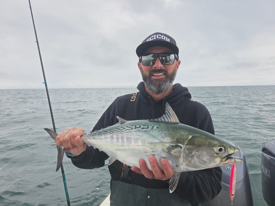False Albacore caught by Get Tight Sport Fishing Captain Brian Coombs