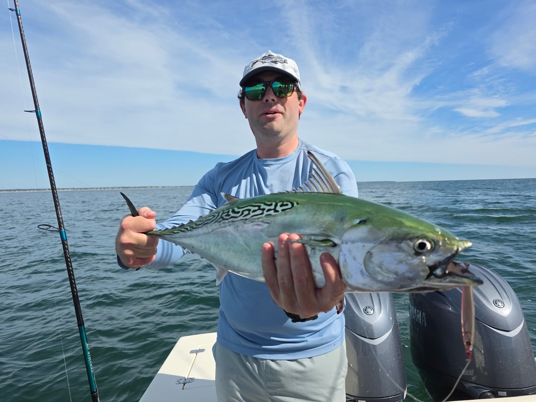 False Albacore caught by Get Tight Sport Fishing Captain Brian Coombs