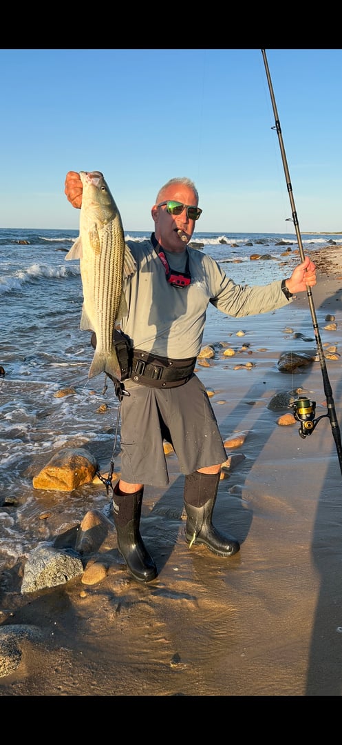 Striped Bass caught by R C