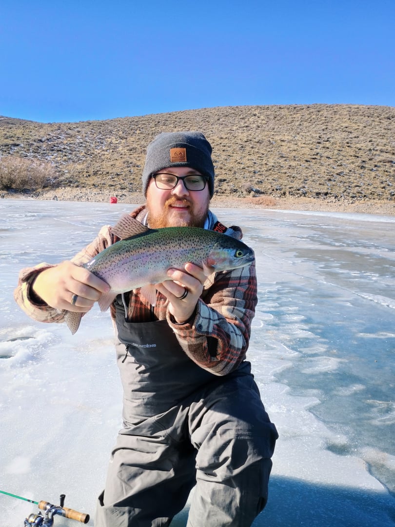 Rainbow Trout caught by Kadan Davis