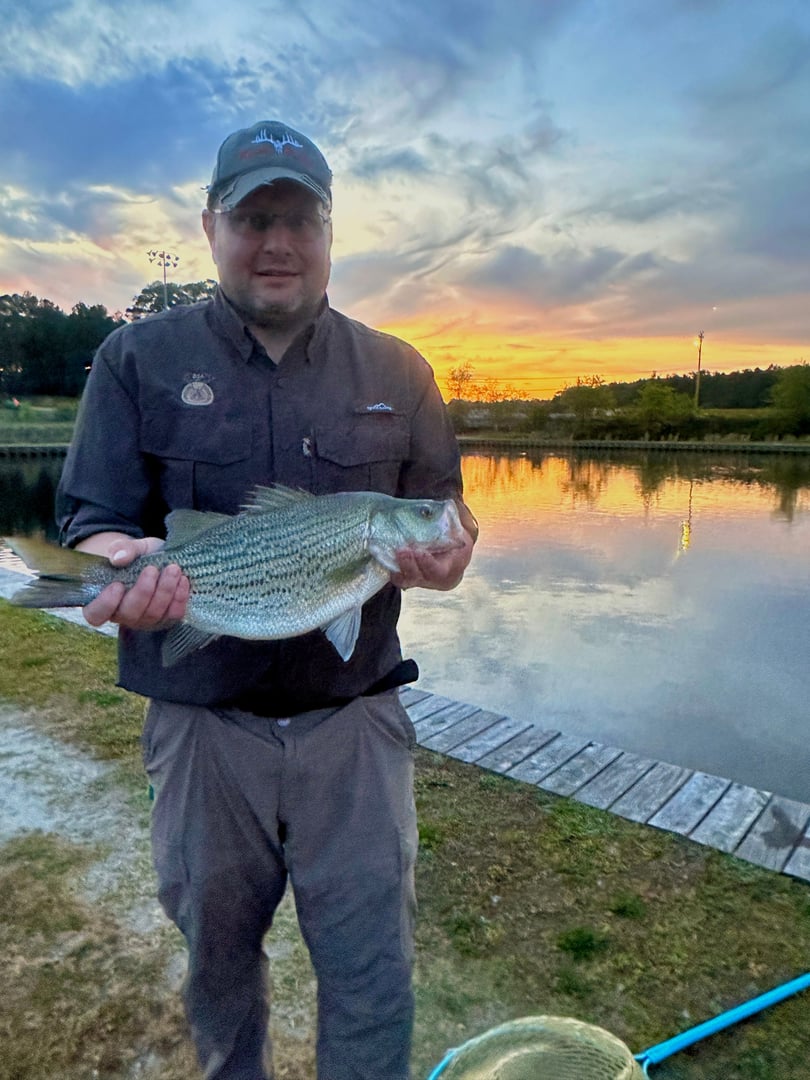 Bodie Bass caught by Adam Schwegel