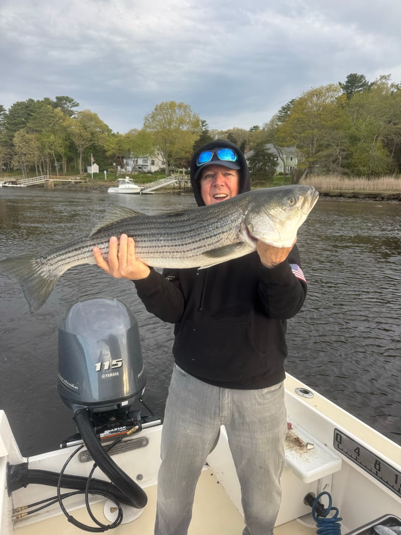 Striped Bass caught by William Mckim