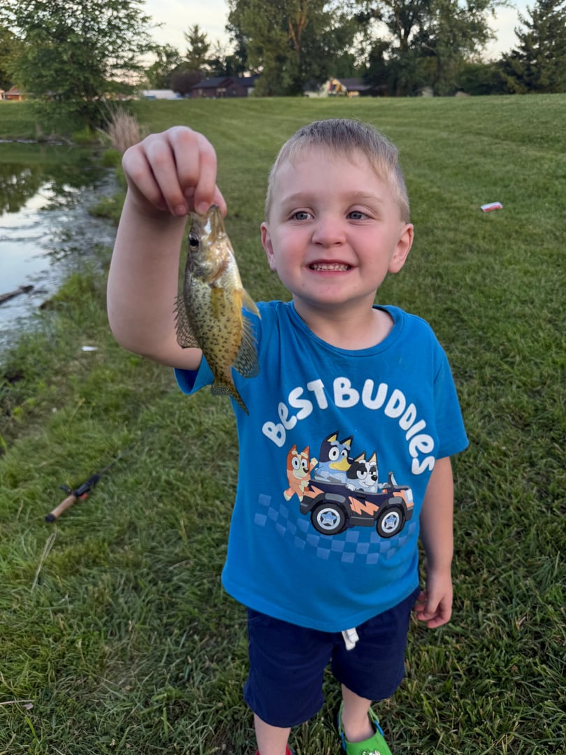 Black Crappie caught by Scott Van Wye