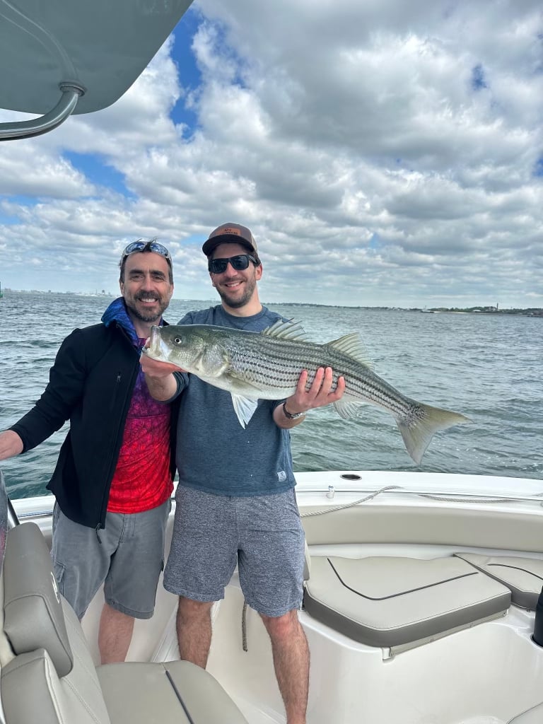Striped Bass caught by Lee Hatton