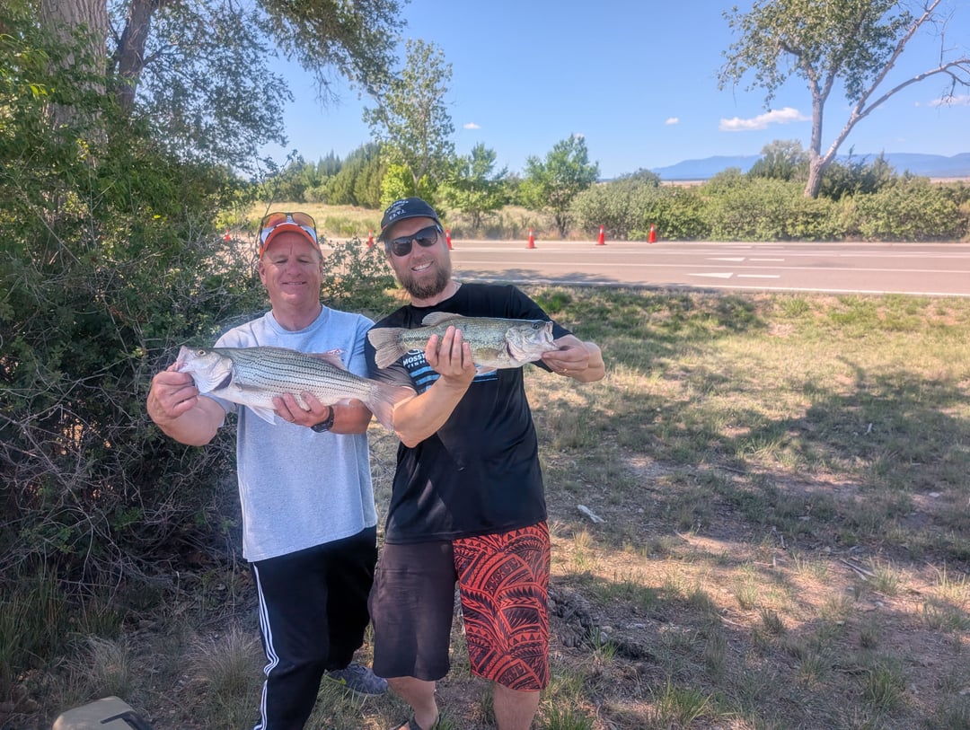 Largemouth Bass caught by - -