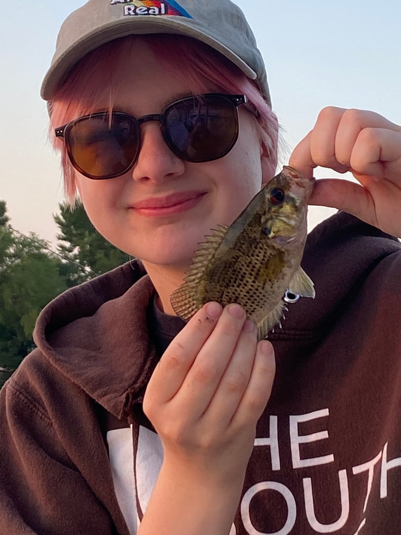 Rock Bass caught by Elise May