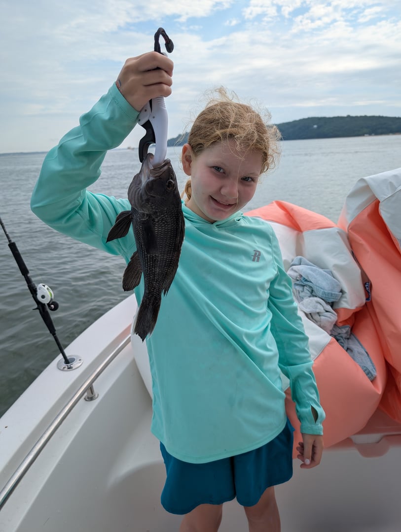 Black Sea Bass caught by JJ Ormond