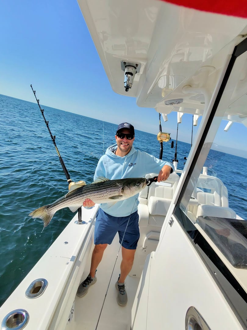 Striped Bass caught by Charles Svirk
