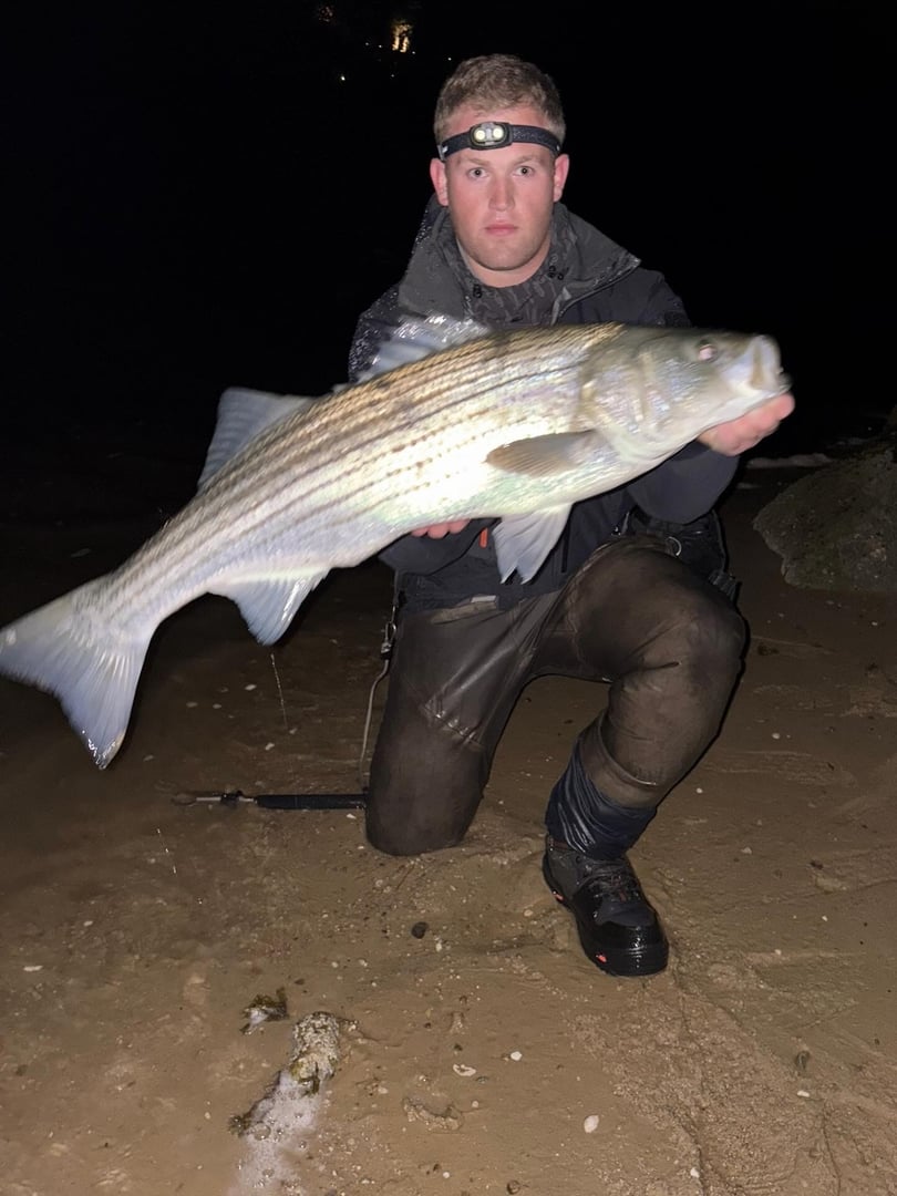 Striped Bass caught by Maxwell Dunn