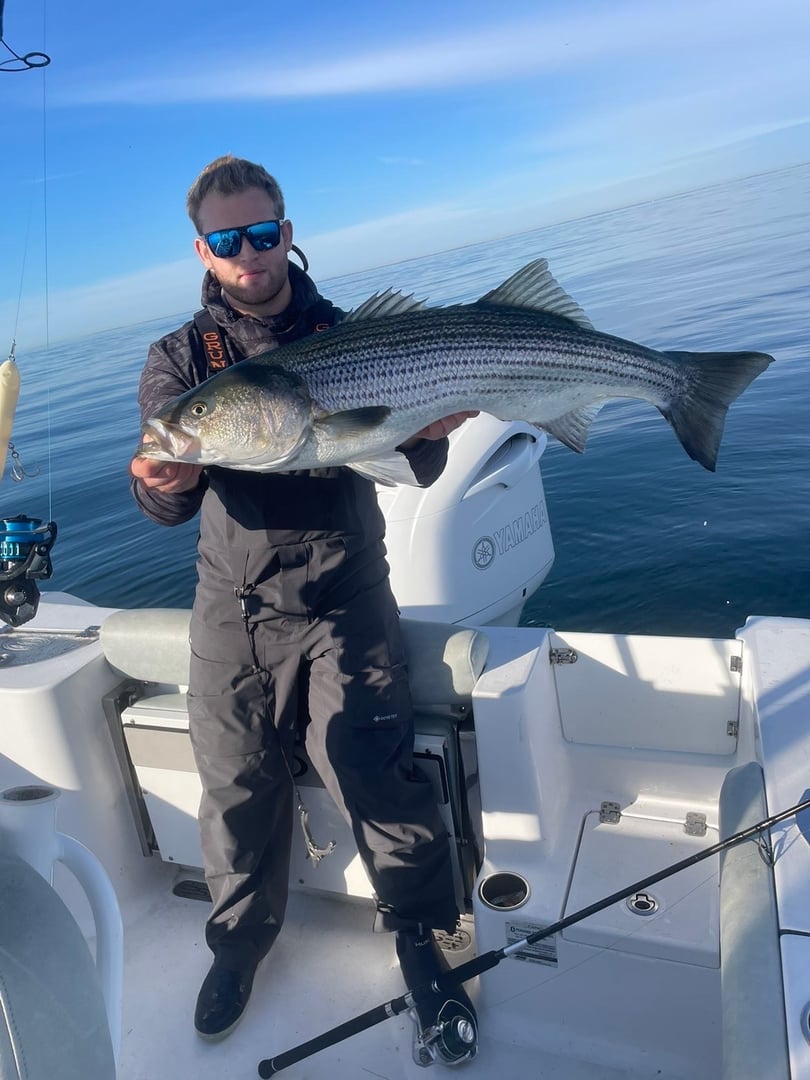 Striped Bass caught by Maxwell Dunn