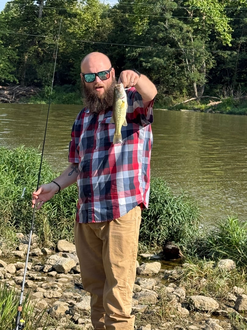 Smallmouth Bass caught by Scott Van Wye