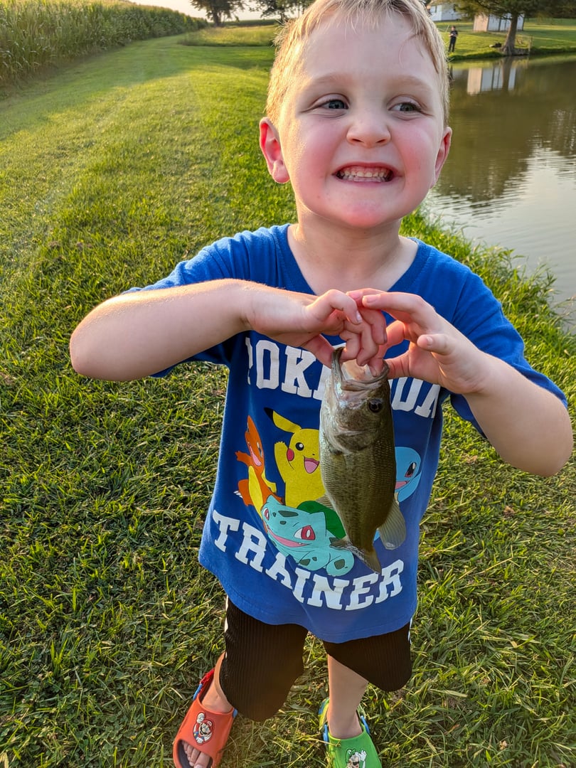 Largemouth Bass caught by Scott Van Wye