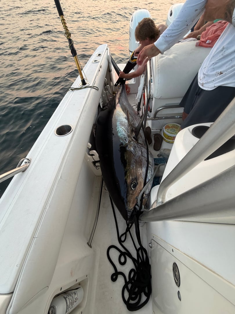 Atlantic Bluefin Tuna caught by Austin Murphy