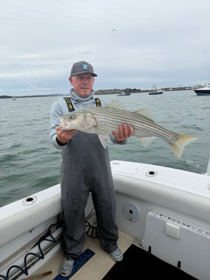 Striped Bass caught by Johnny Walker