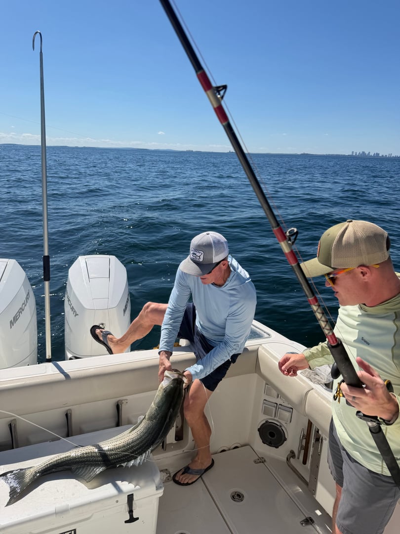 Striped Bass caught by Johnny Walker