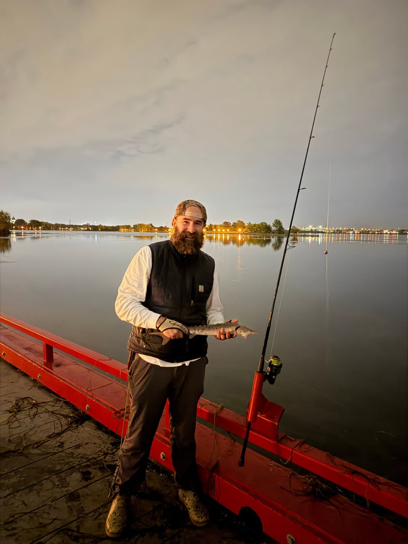 Adriatic Sturgeon caught by Erich White
