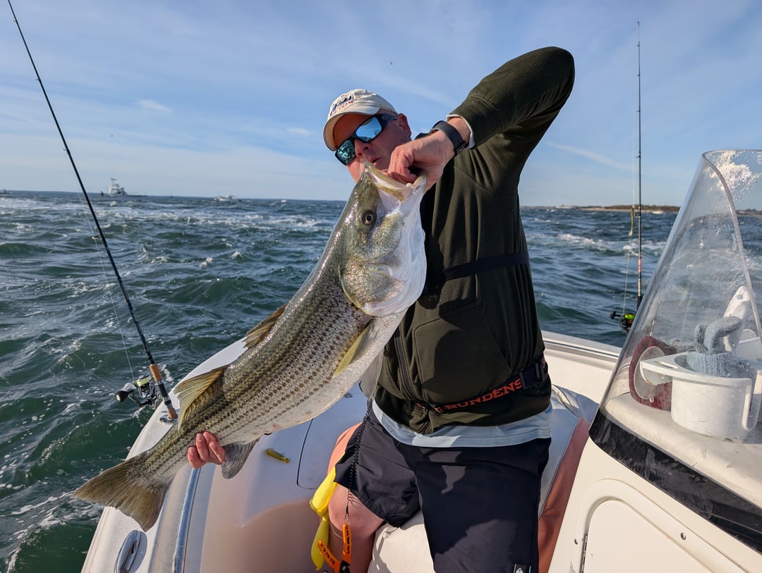 Striped Bass caught by JJ Ormond