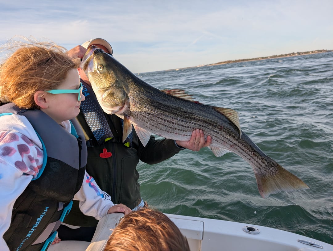 Striped Bass caught by JJ Ormond