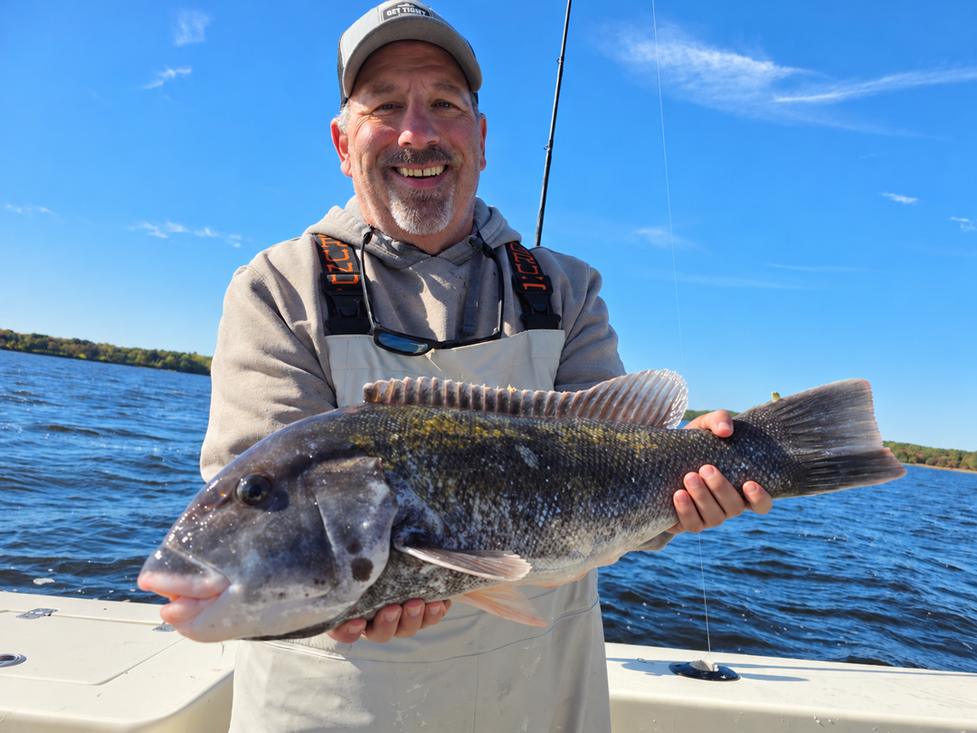 Tautog caught by Get Tight Sport Fishing Captain Brian Coombs