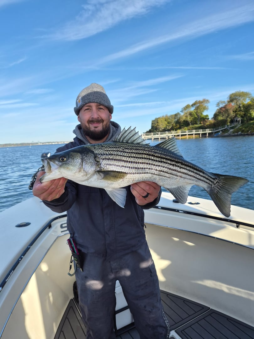 Striped Bass caught by Get Tight Sport Fishing Captain Brian Coombs