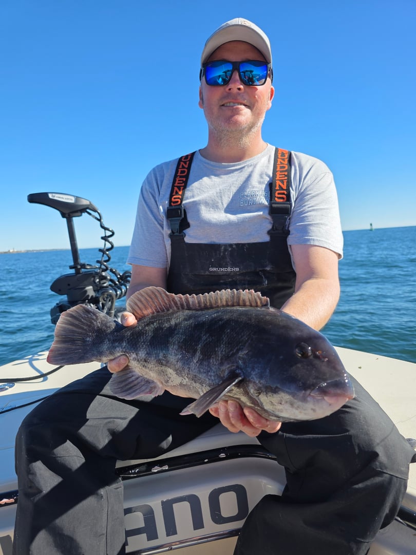 Tautog caught by Get Tight Sport Fishing Captain Brian Coombs