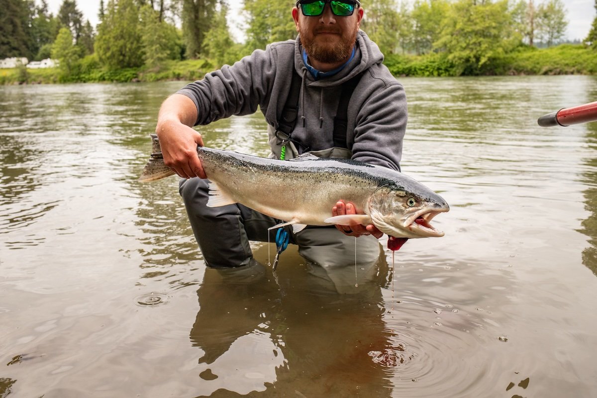 Fish caught in river