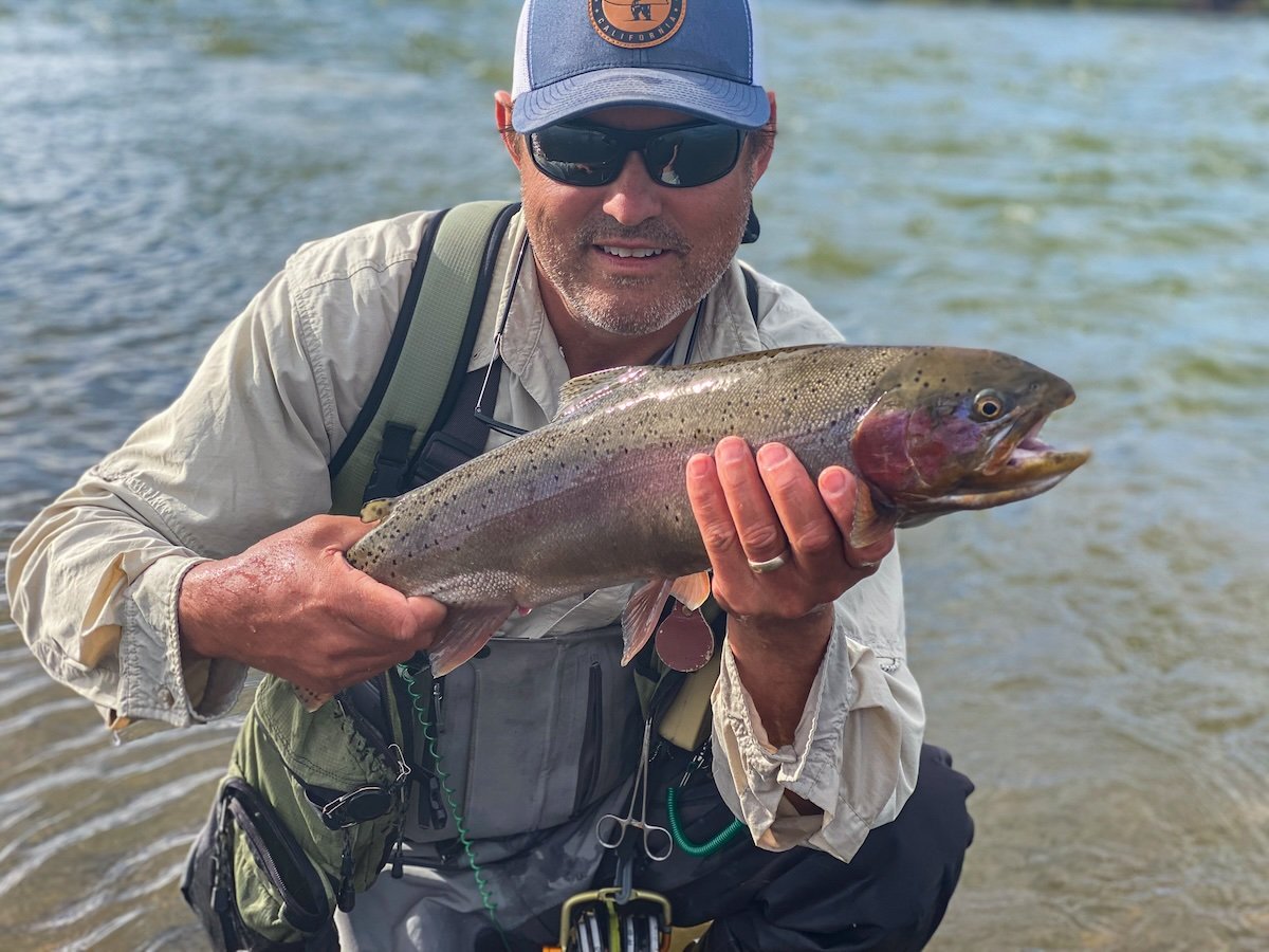 Rainbow trout caught