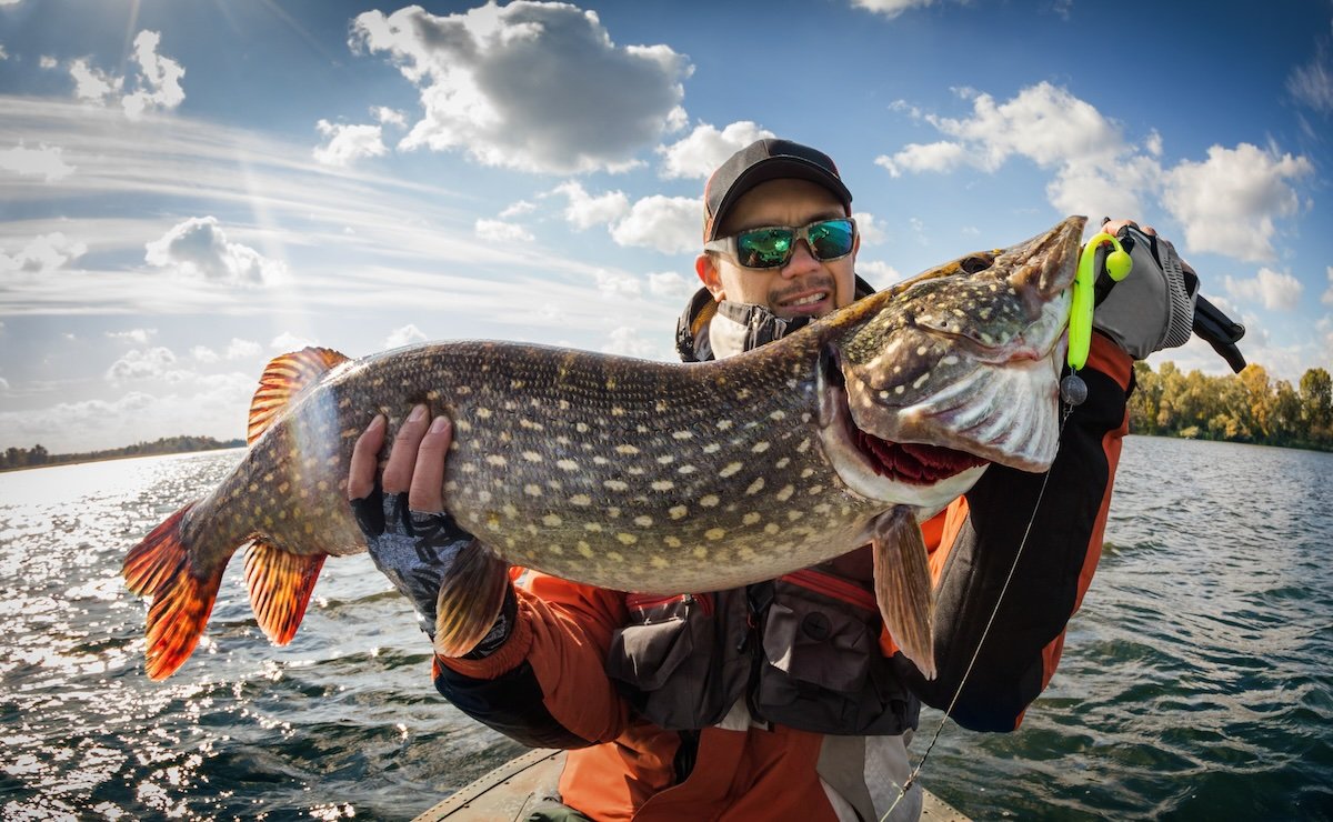 Pike
